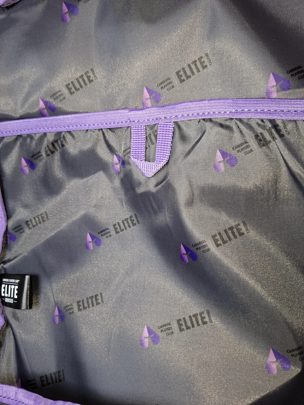 Black and Purple Roll-Top Backpack